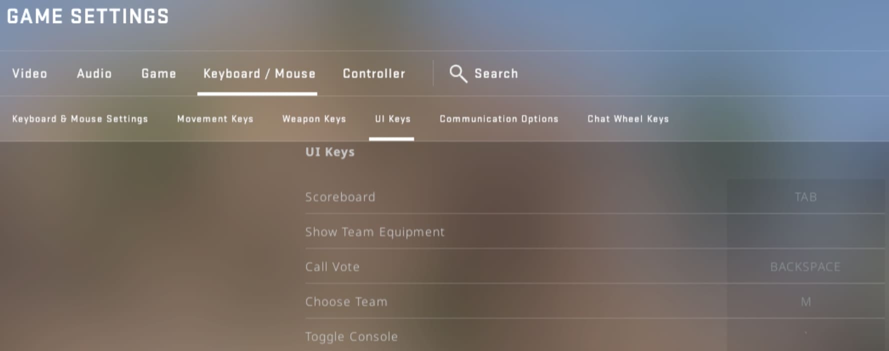 UI Keys in the game settings